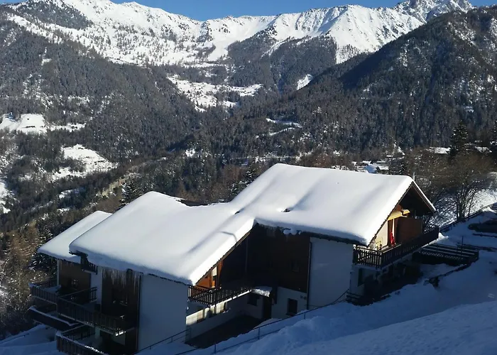 Arolles 701 * 라 초우마츠